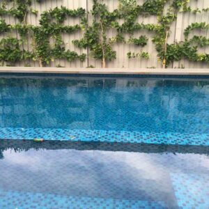 Italian Design Blends